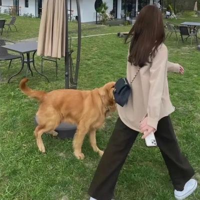 回声三号